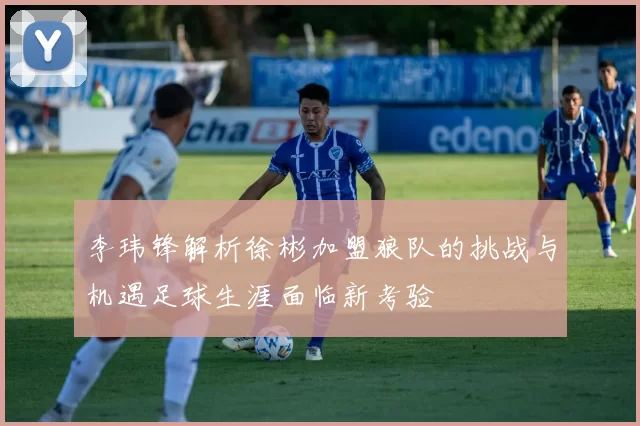 李玮锋解析徐彬加盟狼队的挑战与机遇足球生涯面临新考验